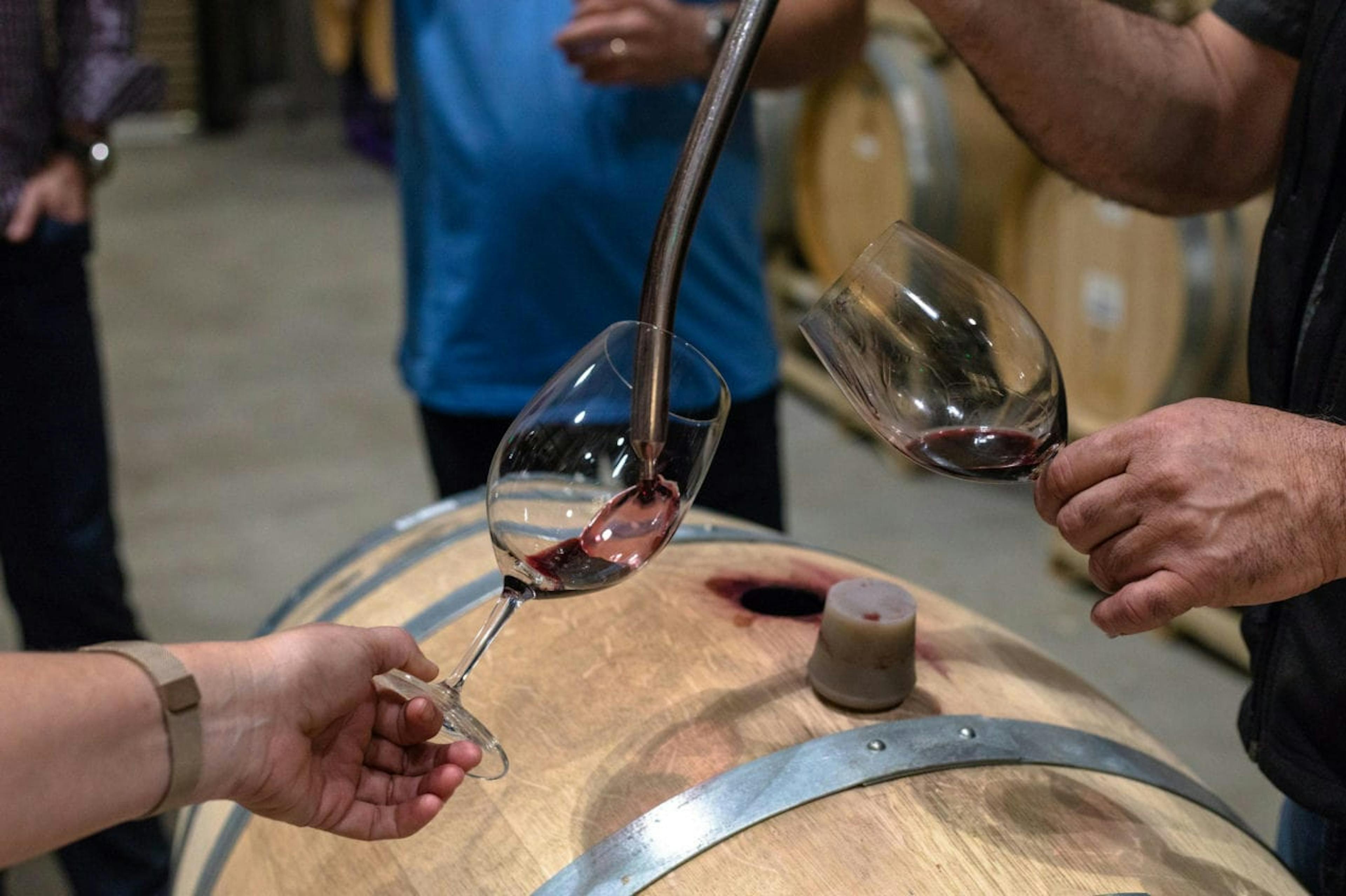 Wine being decanted at Two Old Dogs winery