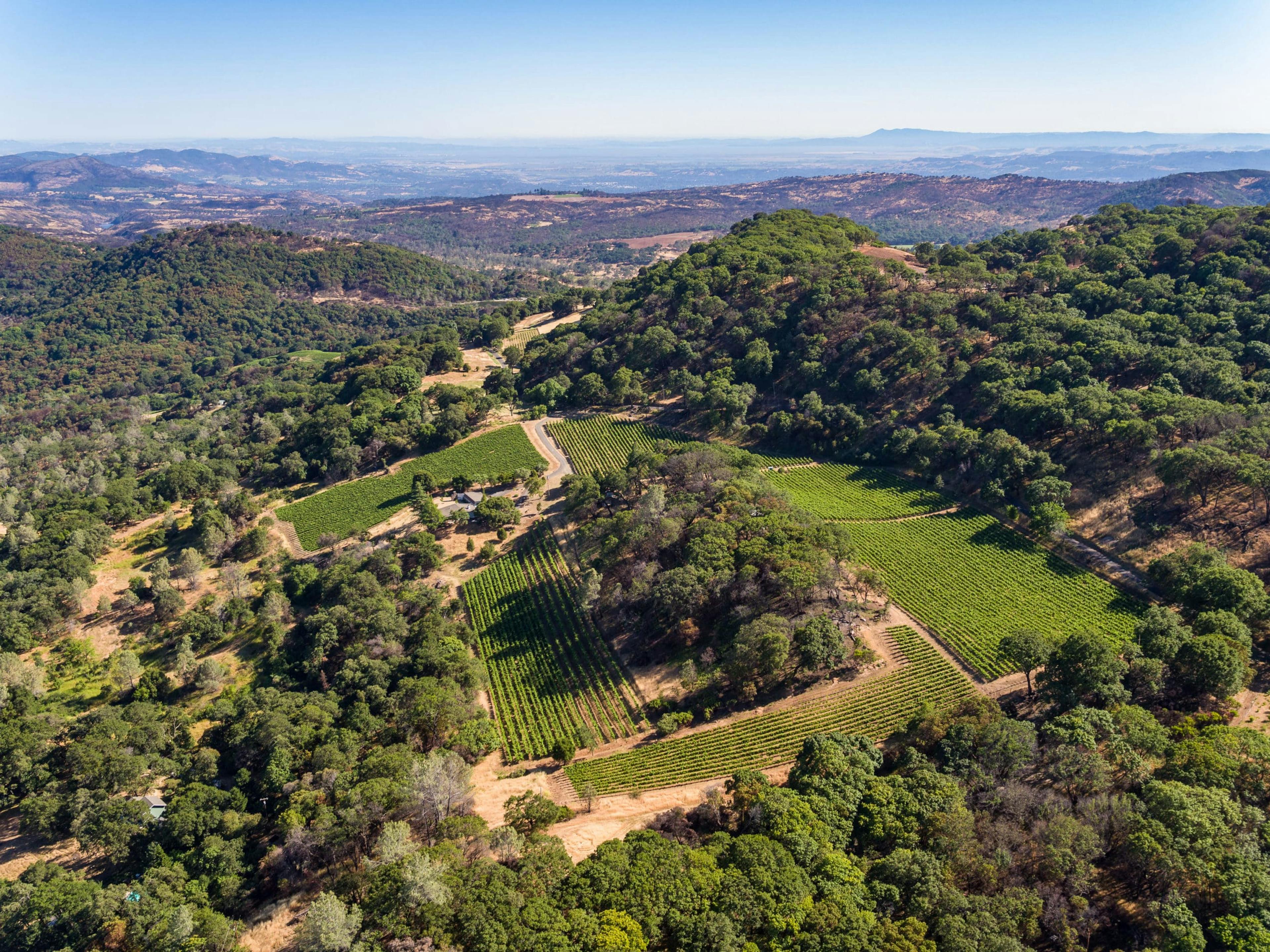 Aerial view of Jack Winery