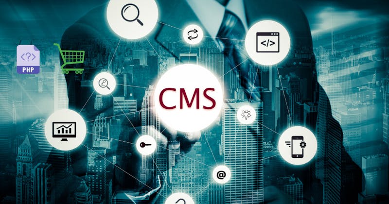 CMS Popularity Rankings: Trends and Insights