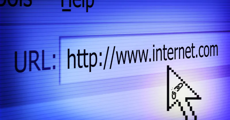 Paid Services to Regularly Scan a Website for Broken Links