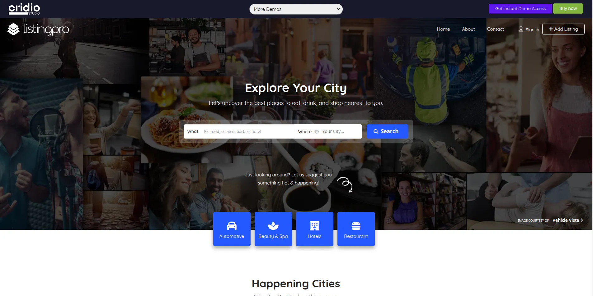 ListingPro WordPress Directory Theme