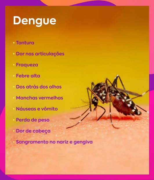 sintomas da dengue