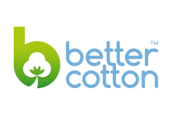 BCI logo