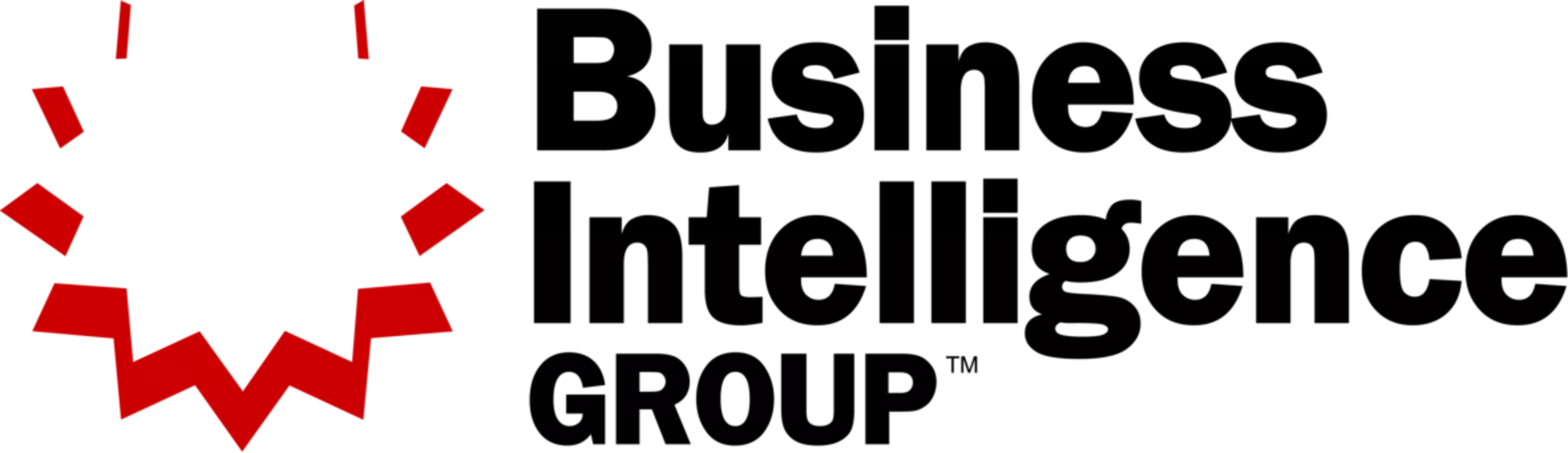 Business_Intelligence_Group_Logo