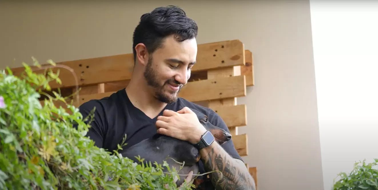 Alexander Software Architect