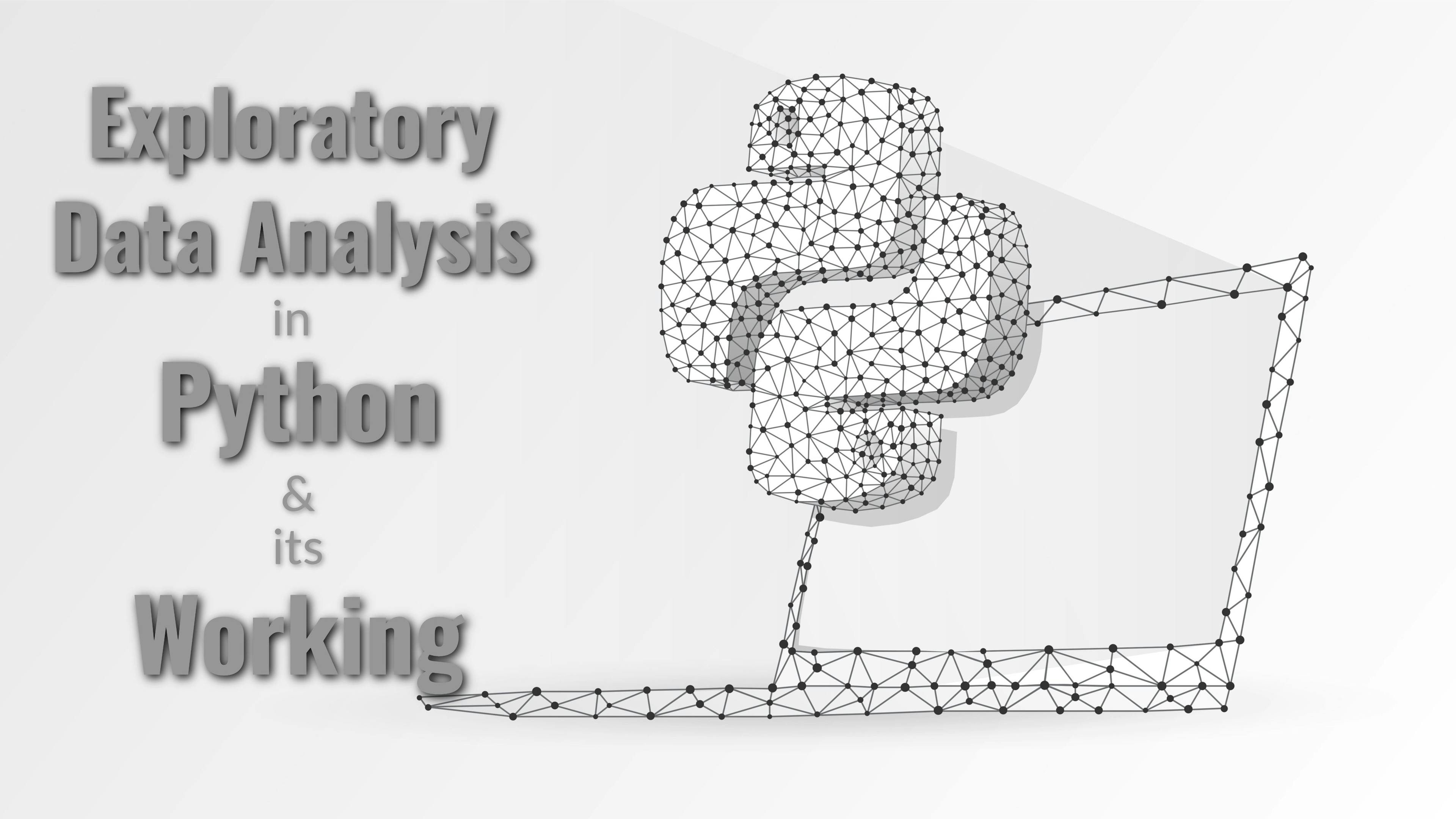 Exploratory Data Analysis in Python and Its Inner Workings