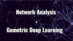 Network Analysis & Geometric Deep Learning.