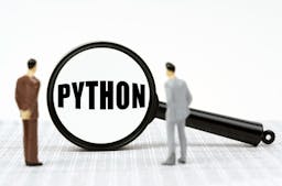 Python Socket Programming: A 101 Guide of the Basics
