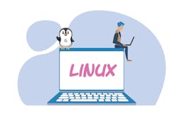 Using the Linux Free Command with Examples