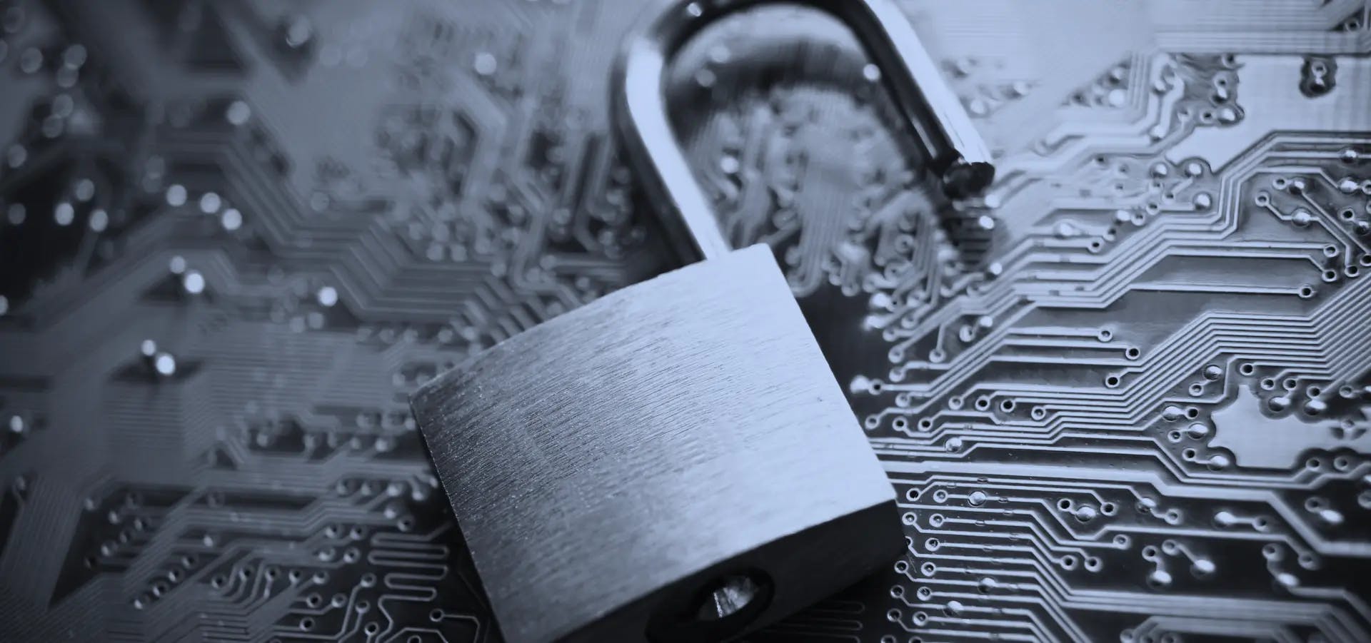 Safeguarding Businesses from Data Privacy and Cybersecurity Risks