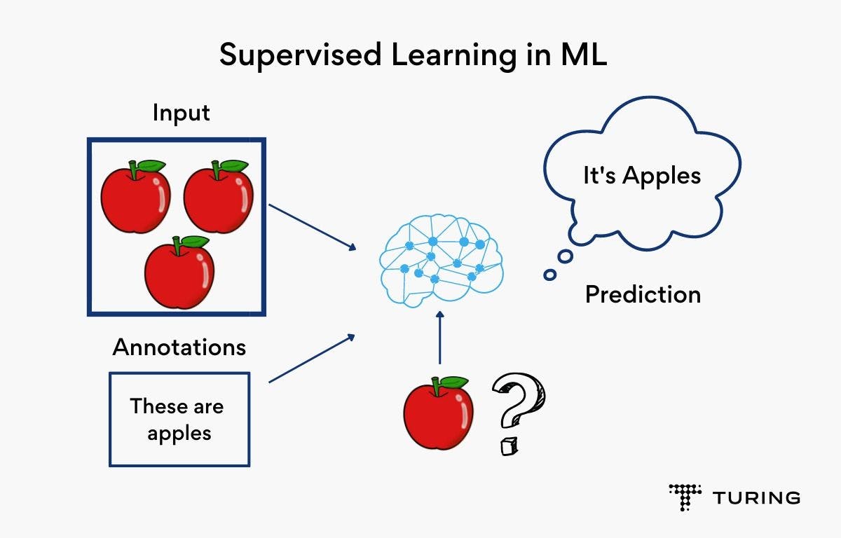 Supervised Learning in ML_11zon.webp