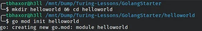 helloworld Go module directory..webp