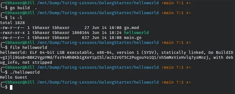 go build helloworld instruction.webp