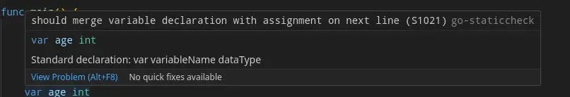 go-staticcheck tool.webp