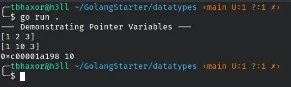 go pointer function output.webp