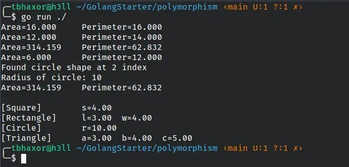 Golang Polymorphism output example.webp
