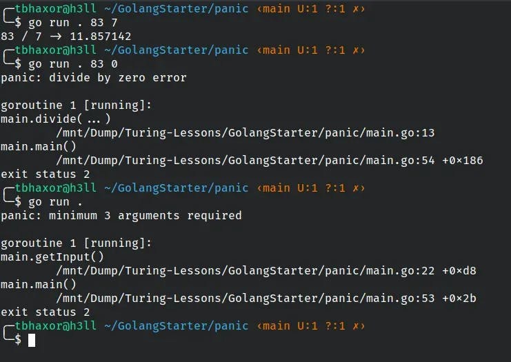 go panic main() ouput.webp