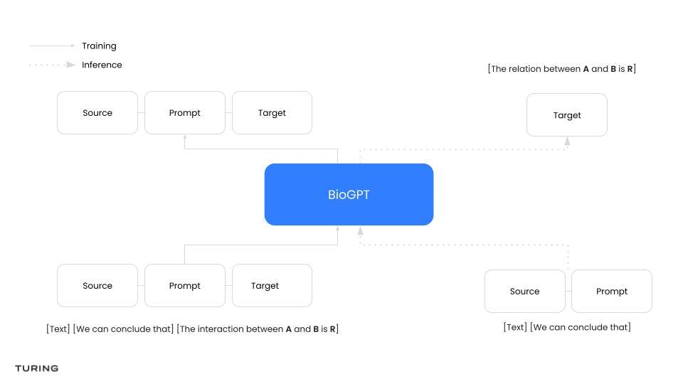 BioGPT Framework