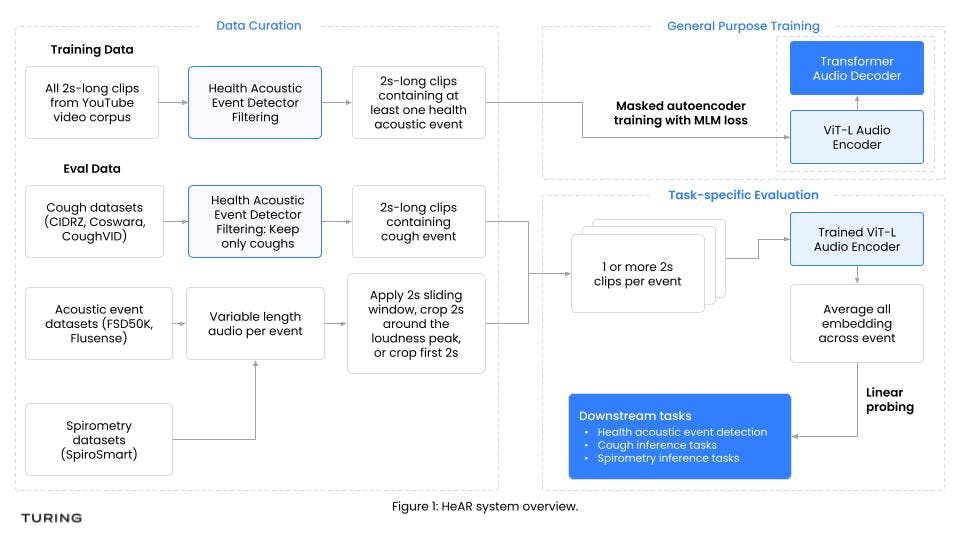 Health Acoustic Representations