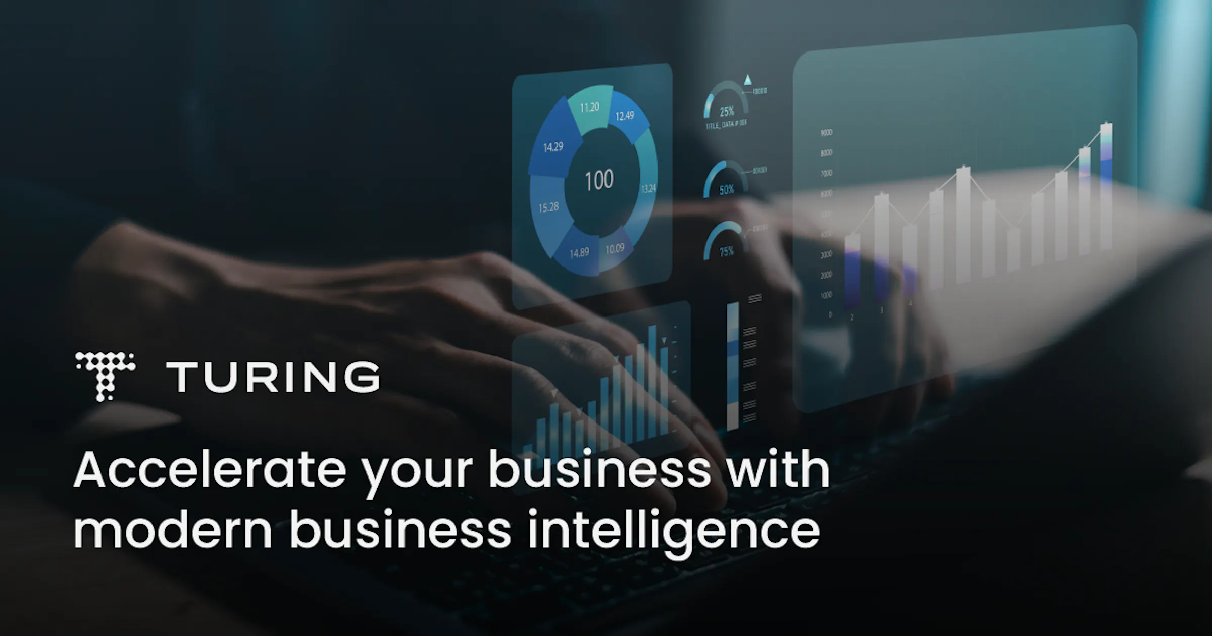 Business Intelligence Services & Solutions | Turing