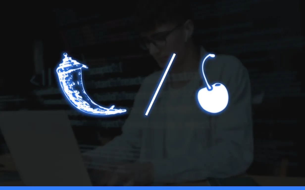 Flask vs CherryPy: What Should Python Developers Choose?