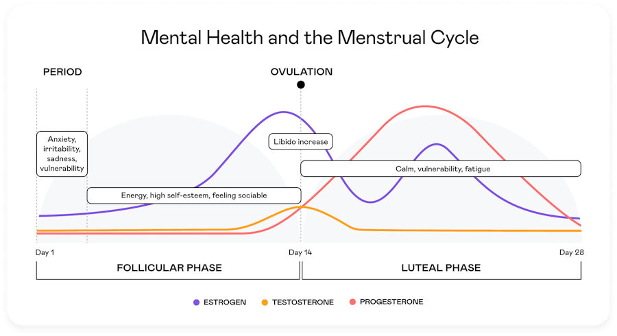 Mind Over Menstruation: How the Menstrual Cycle Influences Brain &  Behaviours