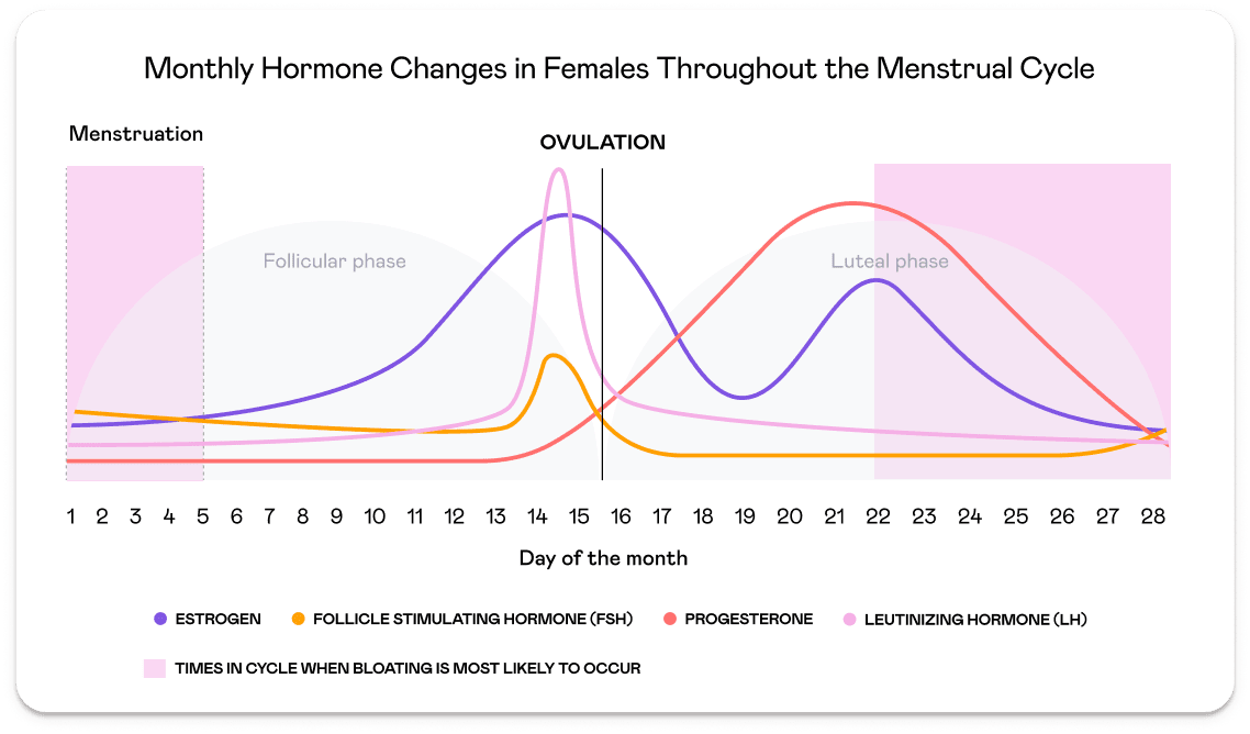 Tuune Why do I feel bloated on my period?
