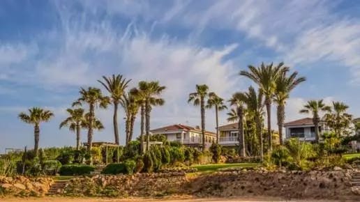 Best Realtor Picture Ideas