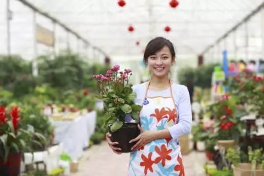 Retail Franchise Marketing Ideas