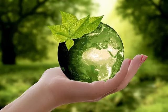 How to Reduce Waste on Your Procurement Budget