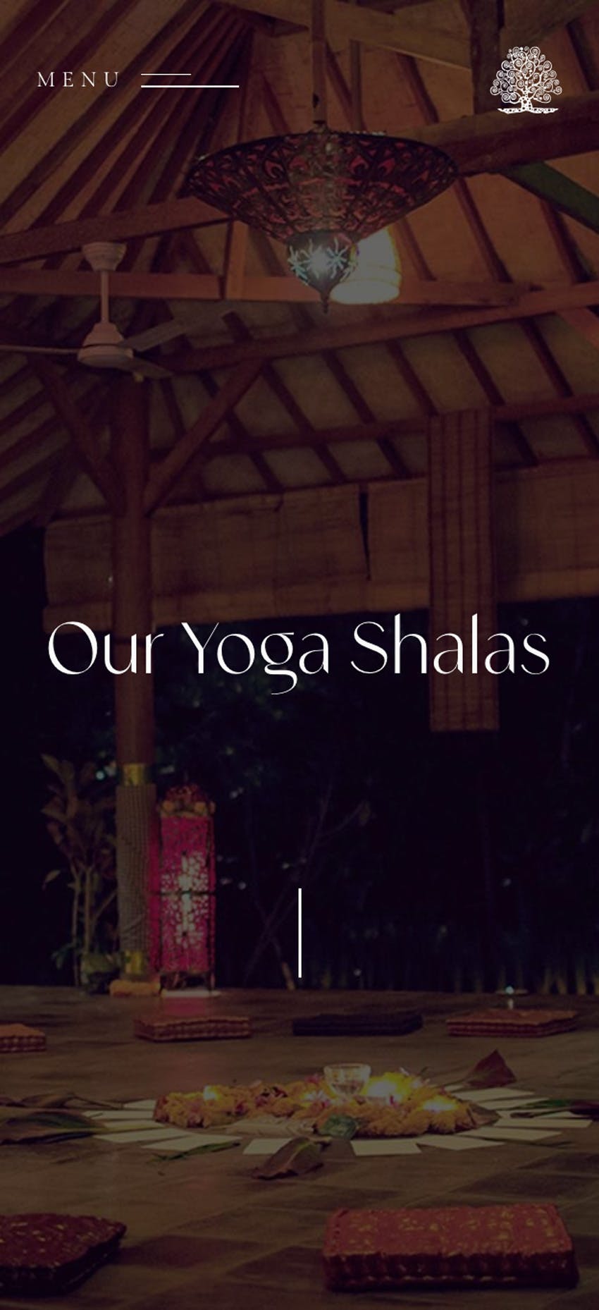 hero section yoga shalas