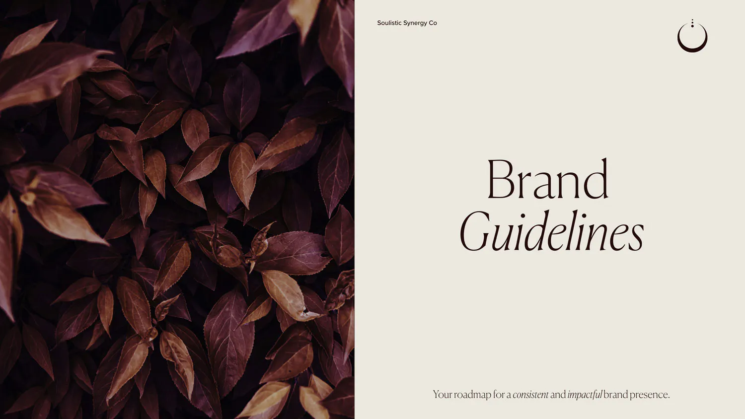  branding guidelines
