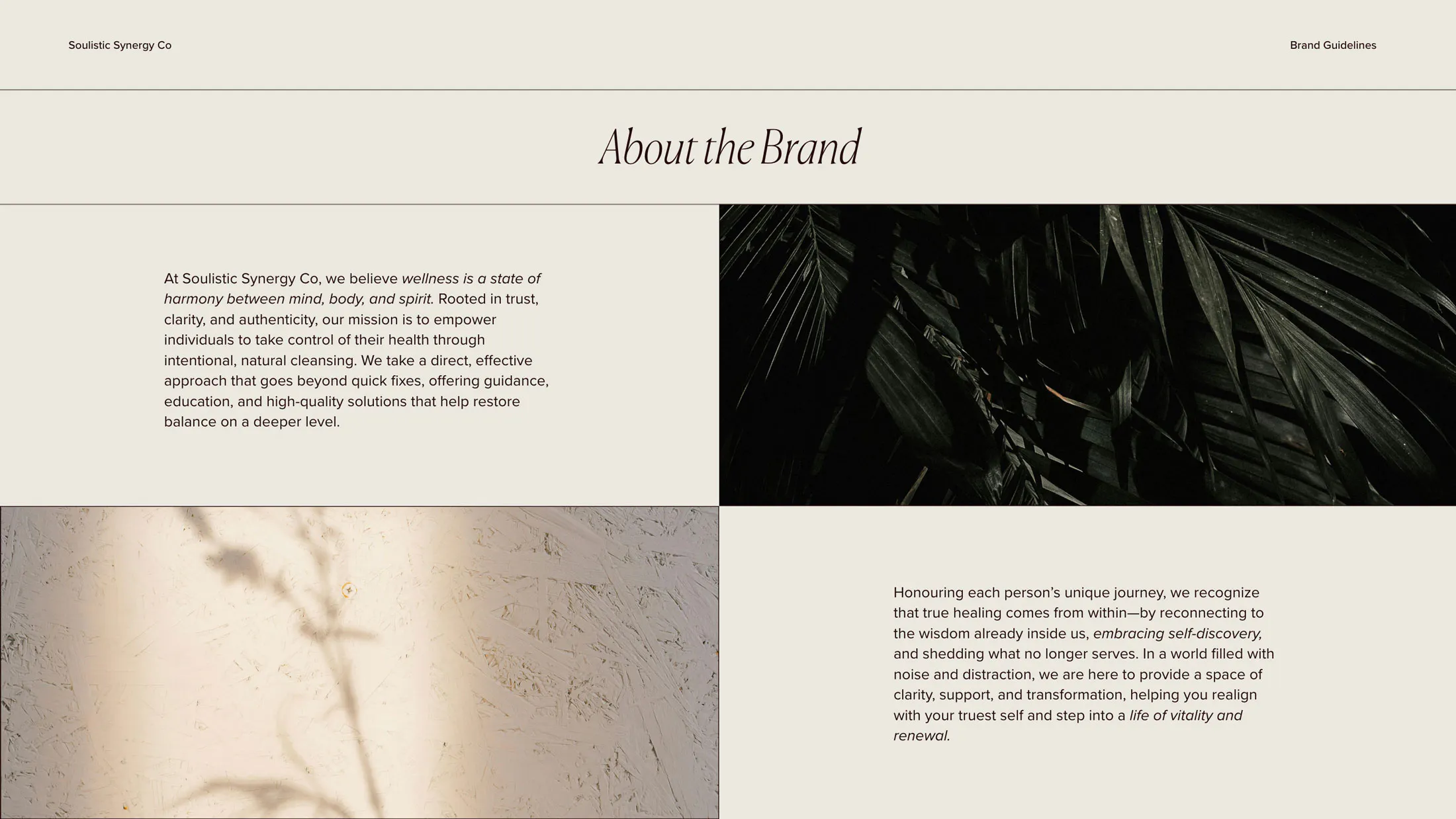  branding guidelines