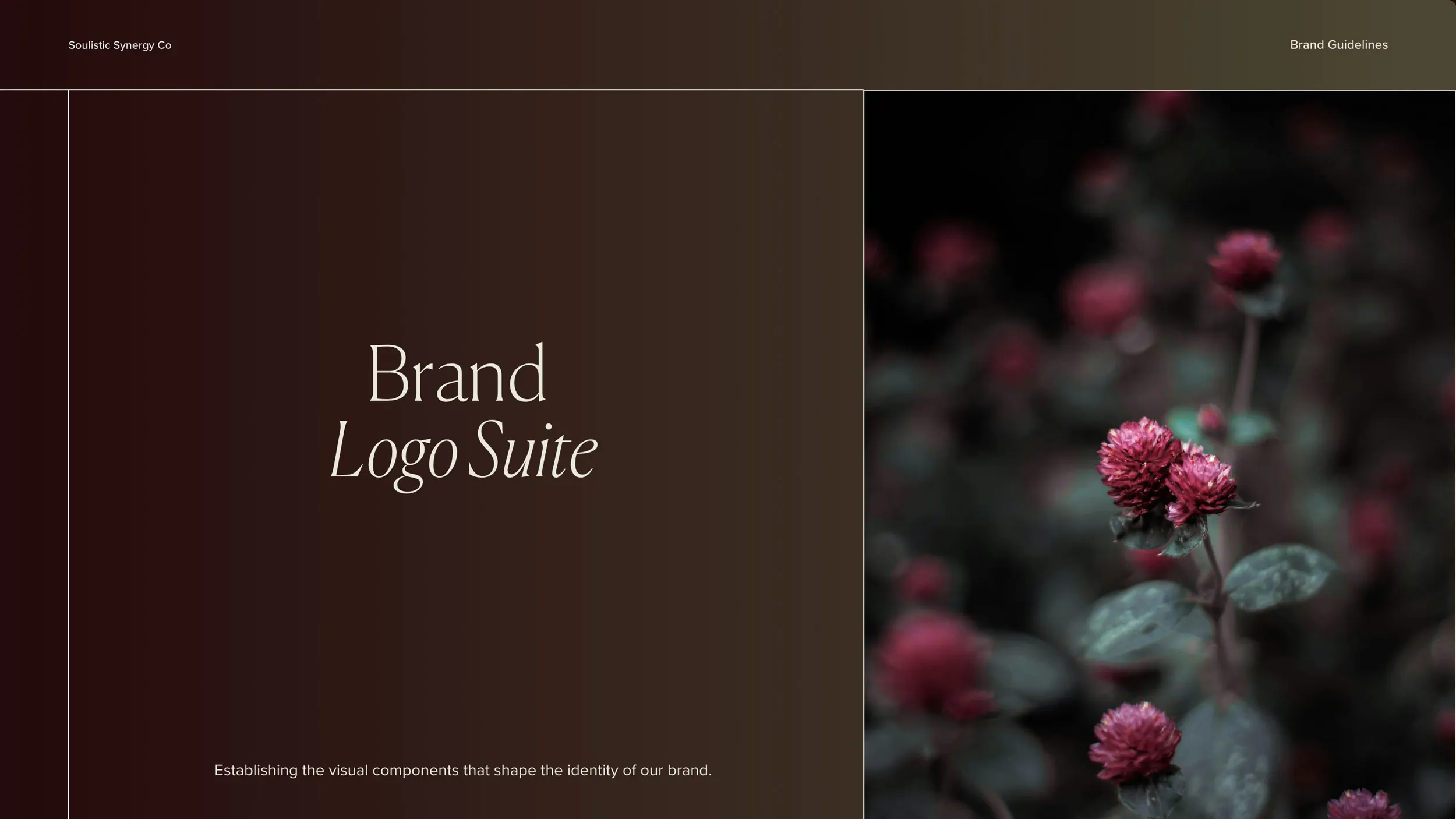  branding guidelines
