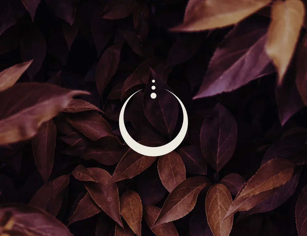 logo designer