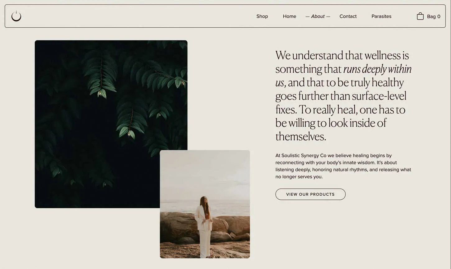 wellness brand website