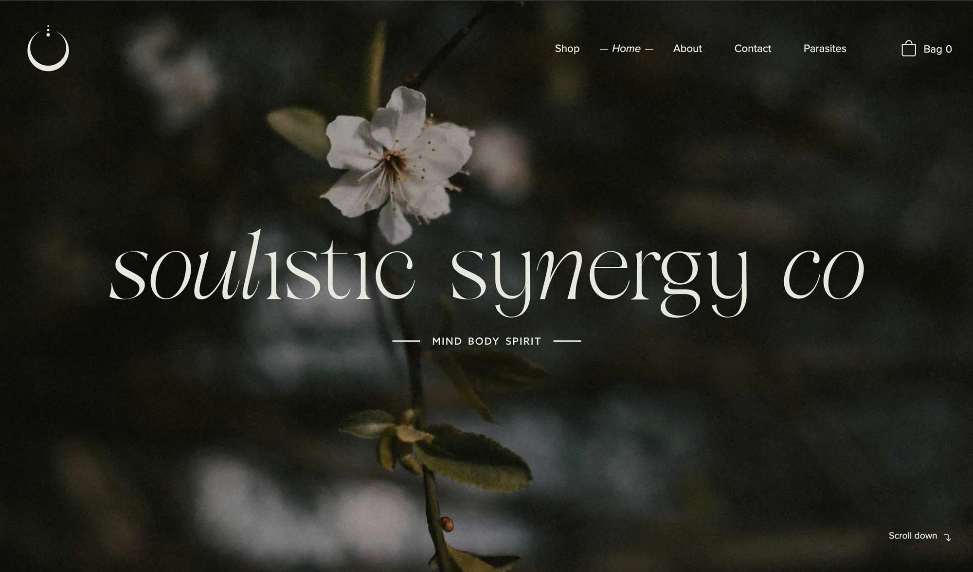 hero section for wellness brand