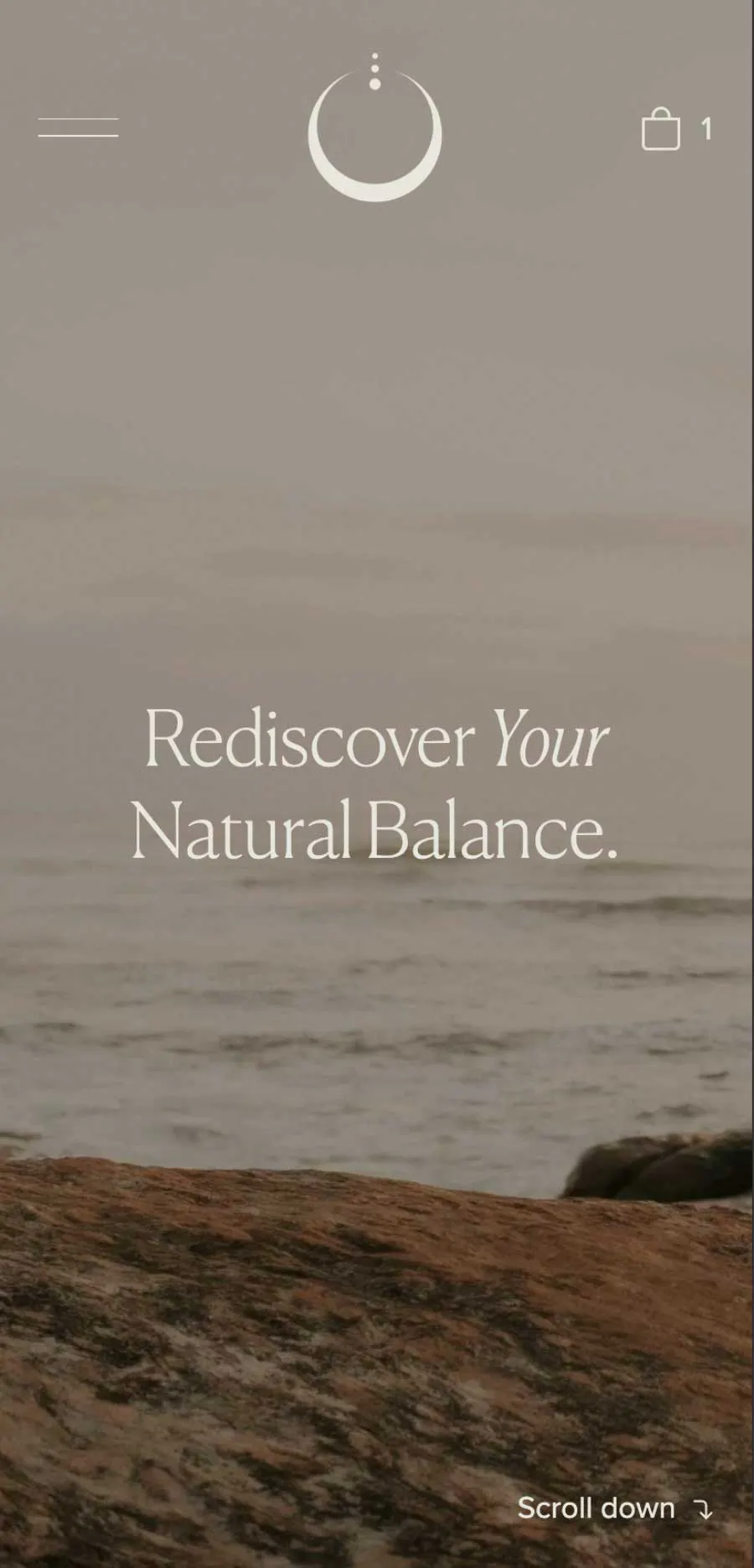 ecommerce website for a holistic health brand