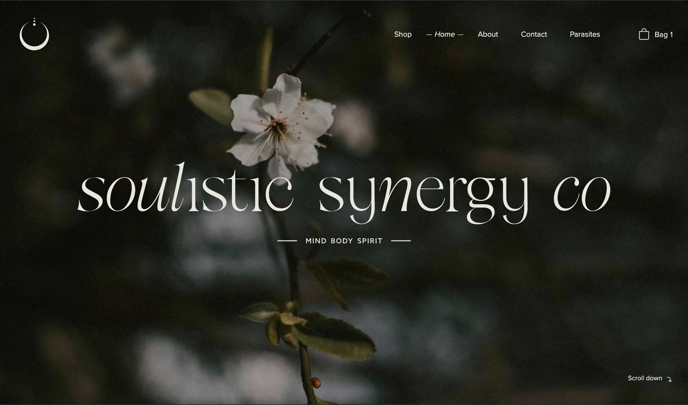 hero section for a wellness brand website