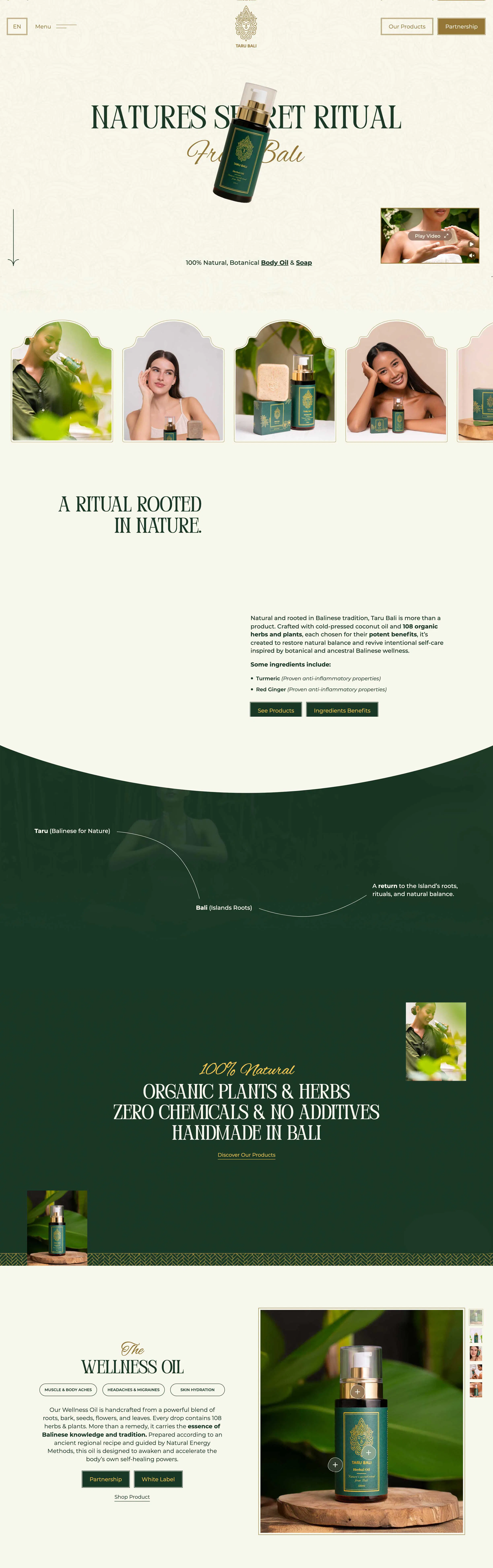 website design