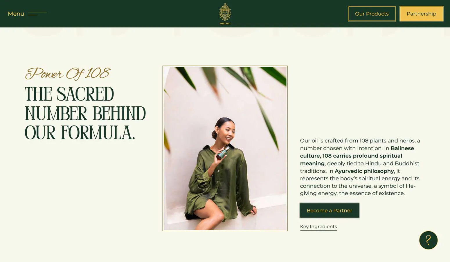 custom website