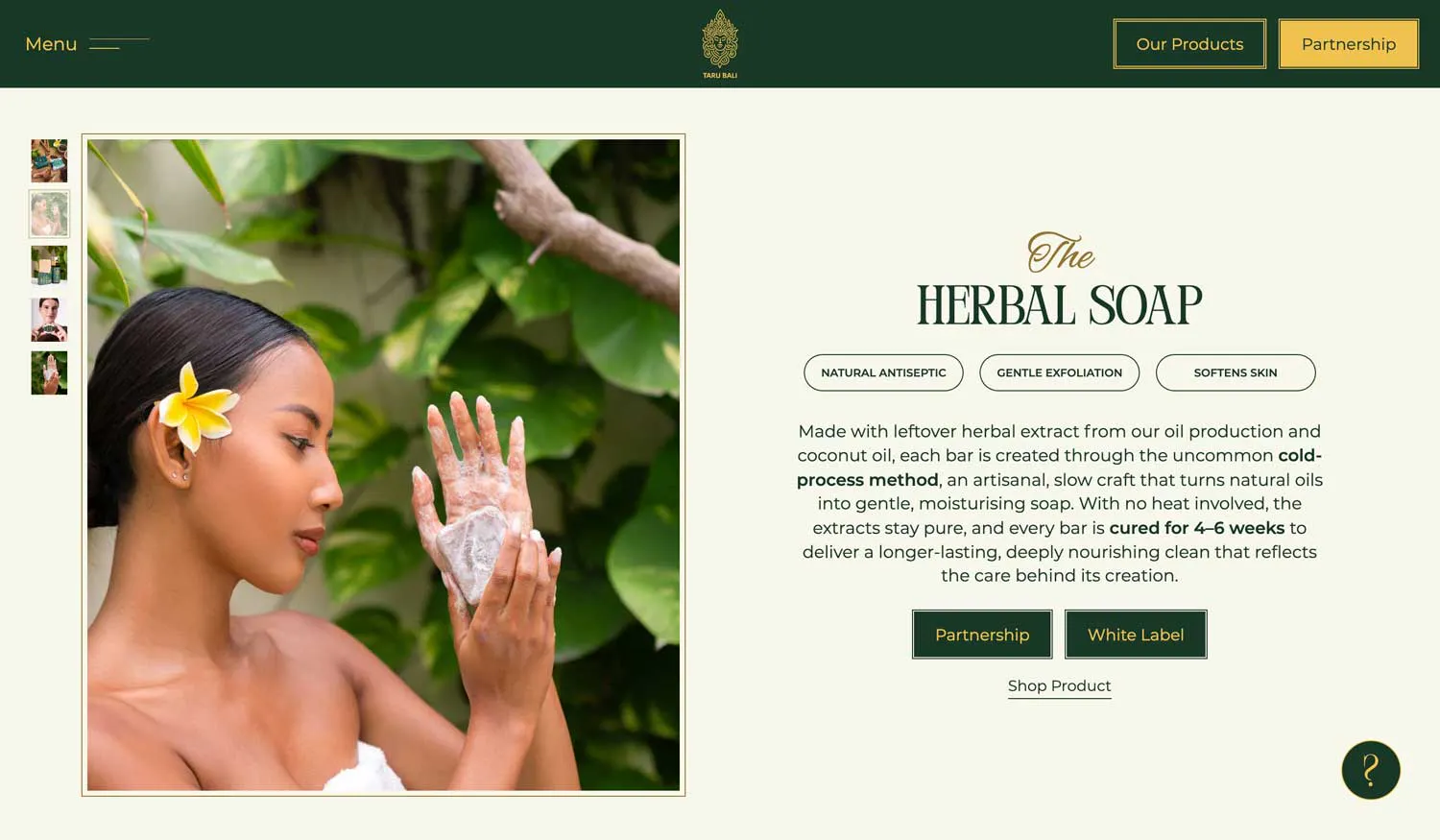 custom website