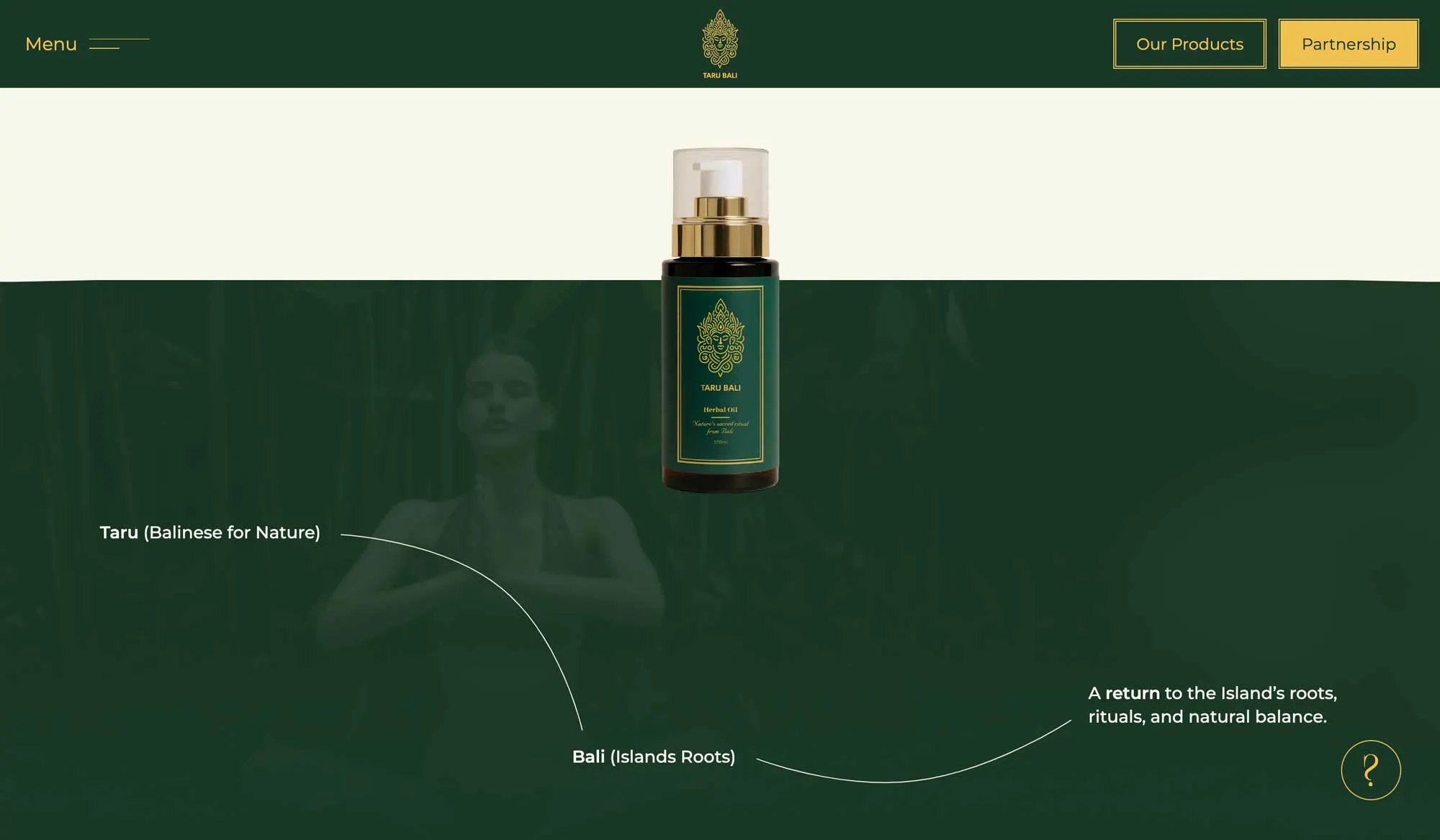 custom website