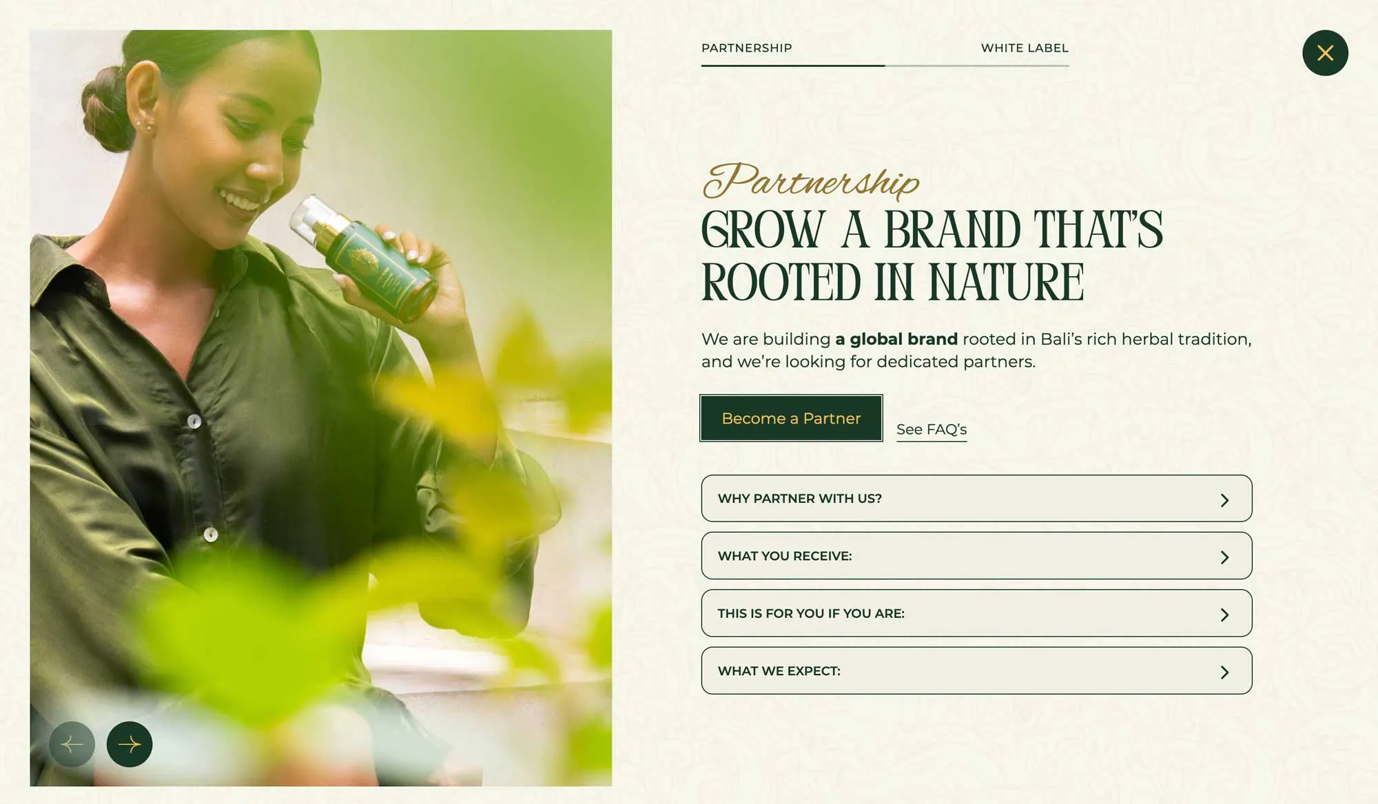 custom website
