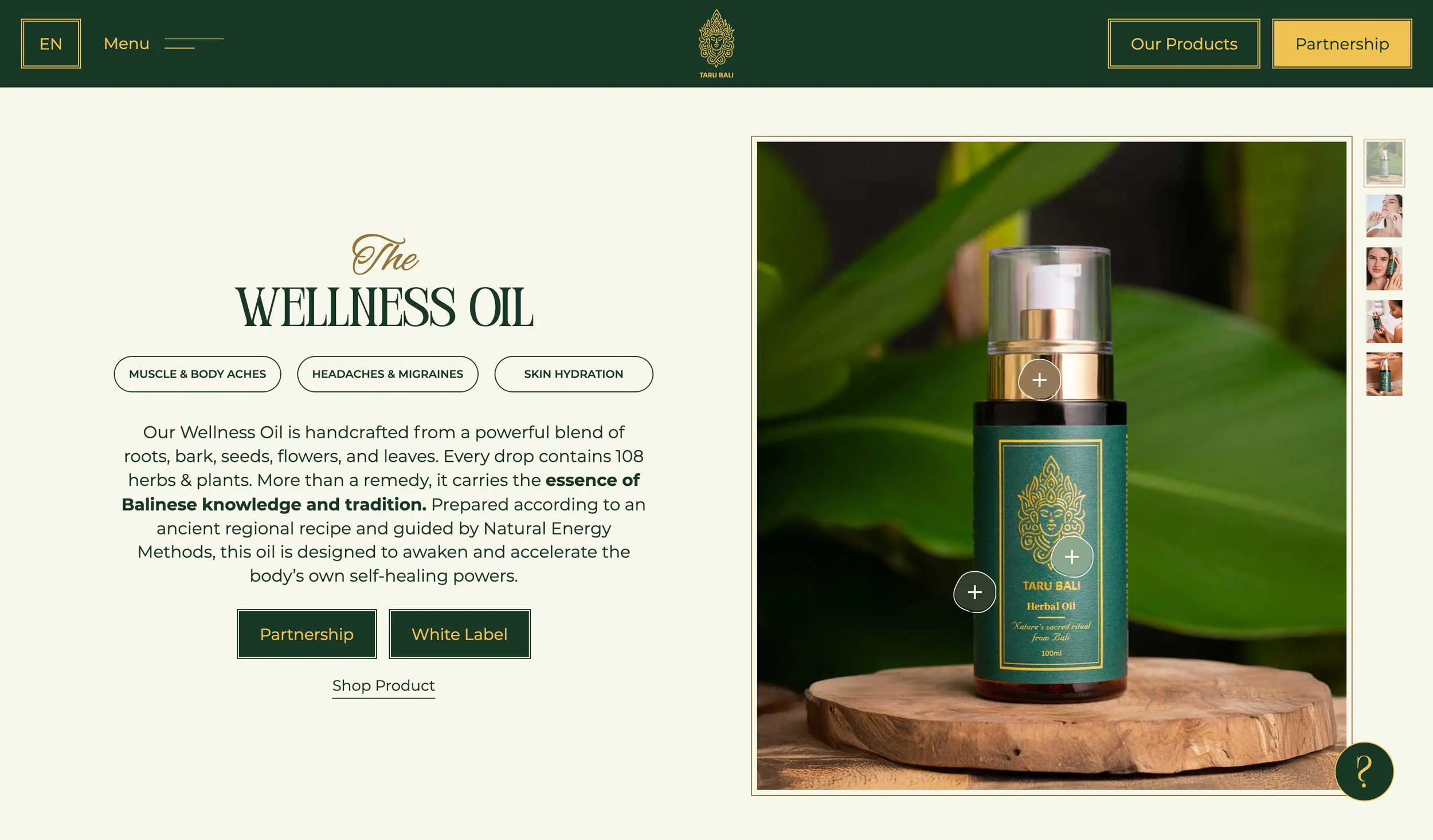 website design