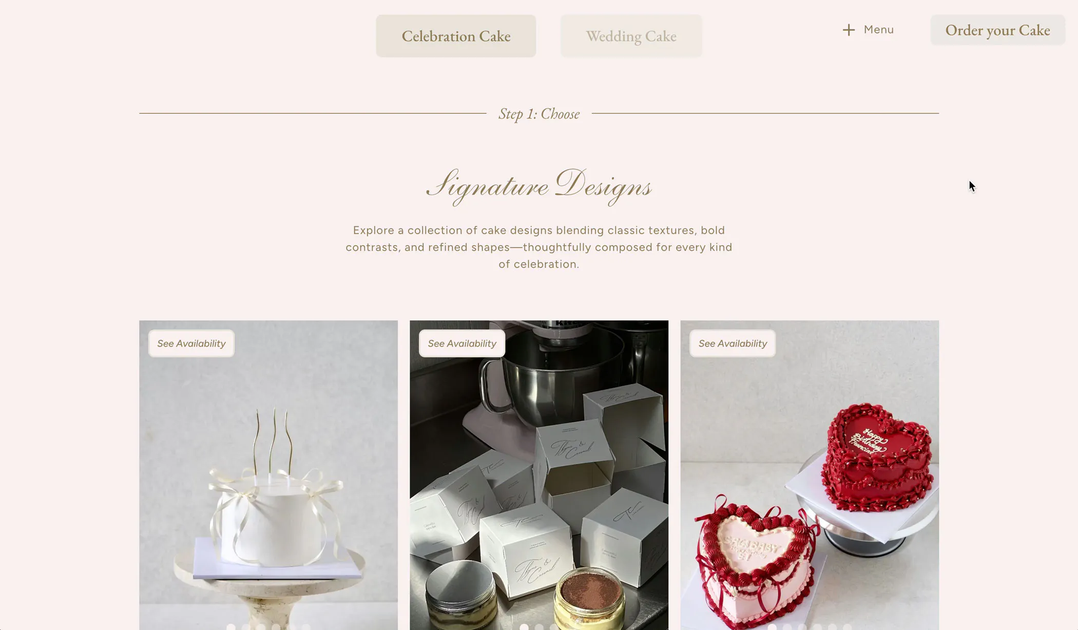 ecommerce website designer