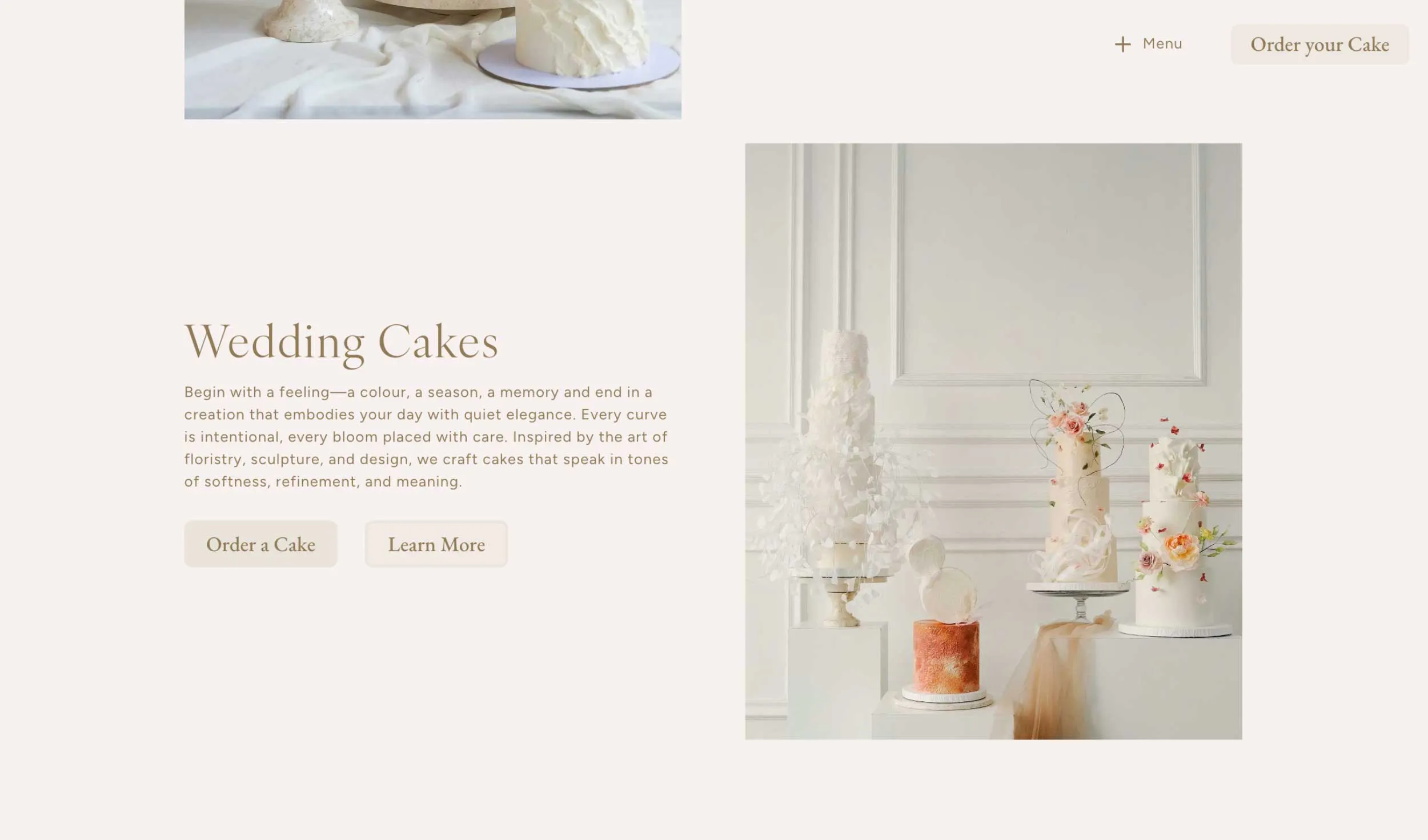 website design