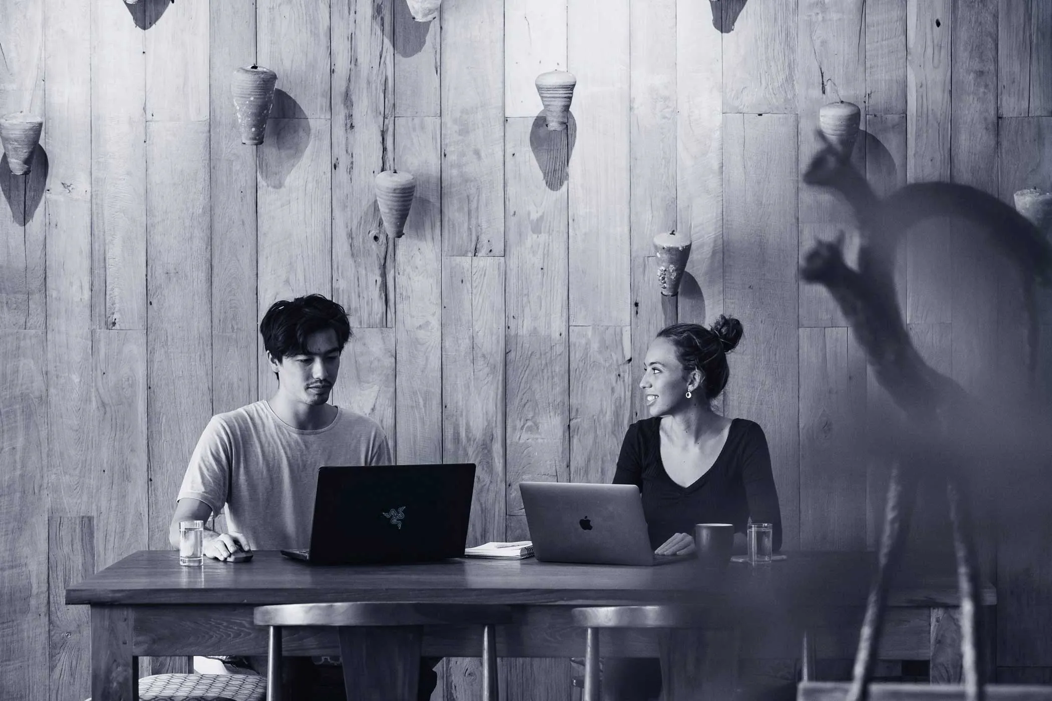 branding and website studio in Bali