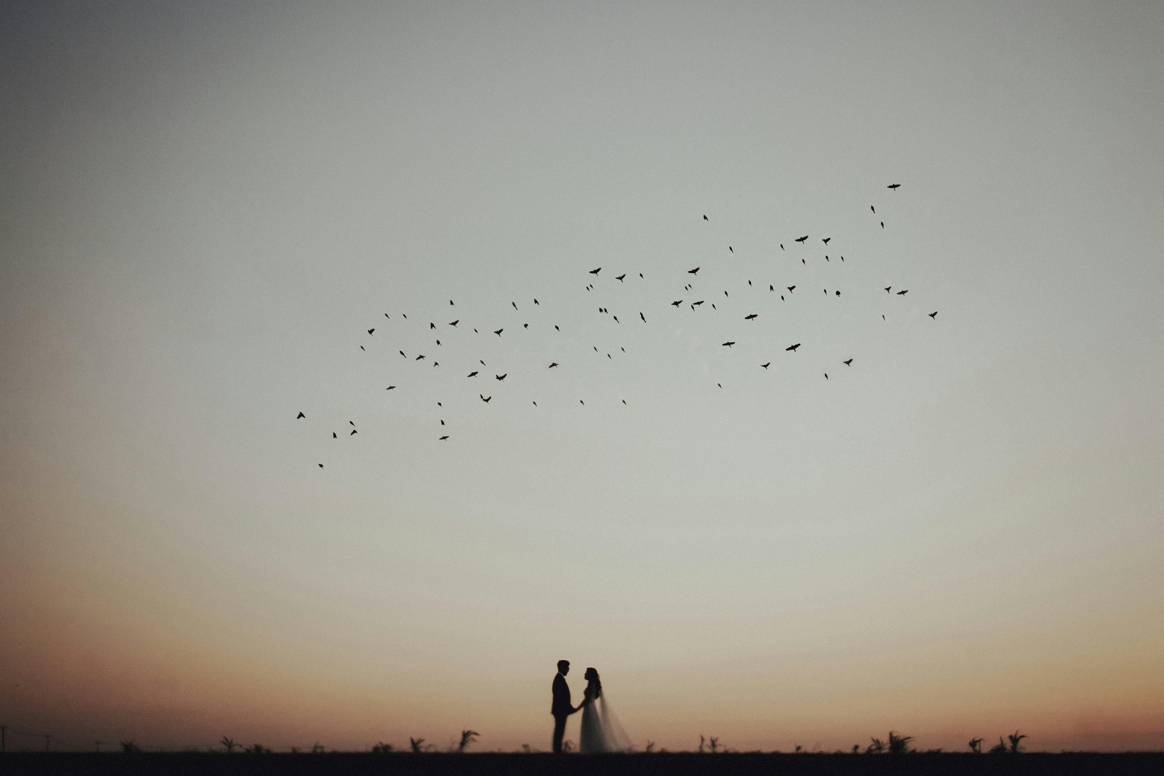 Tyler Branch Photography