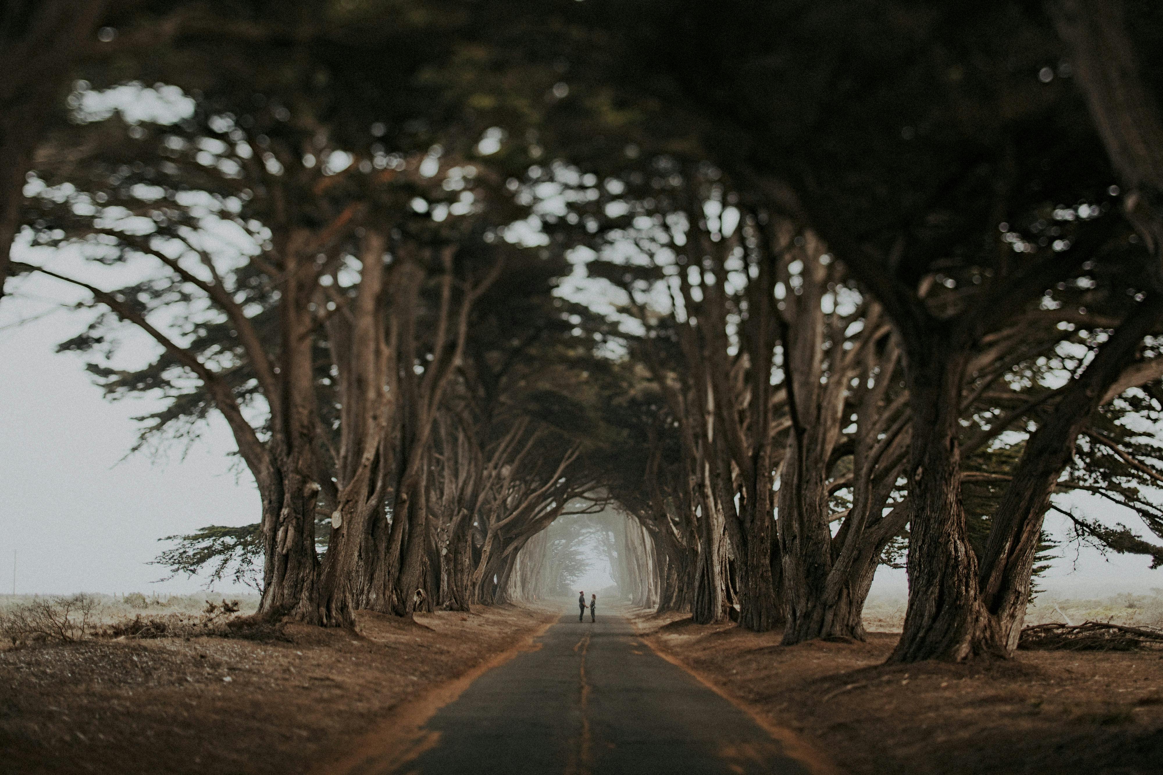 Tyler Branch Photography